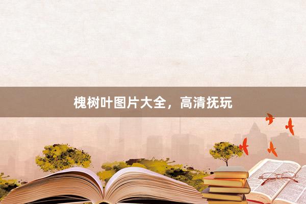 槐树叶图片大全，高清抚玩